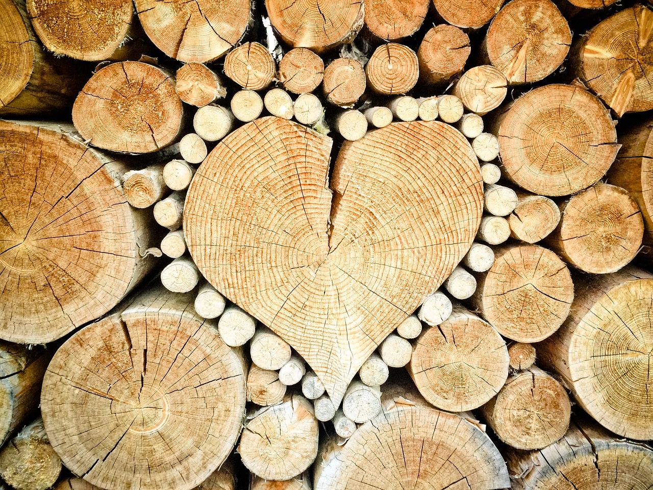 Drewno – niezwykły surowiec o szerokim zastosowaniu